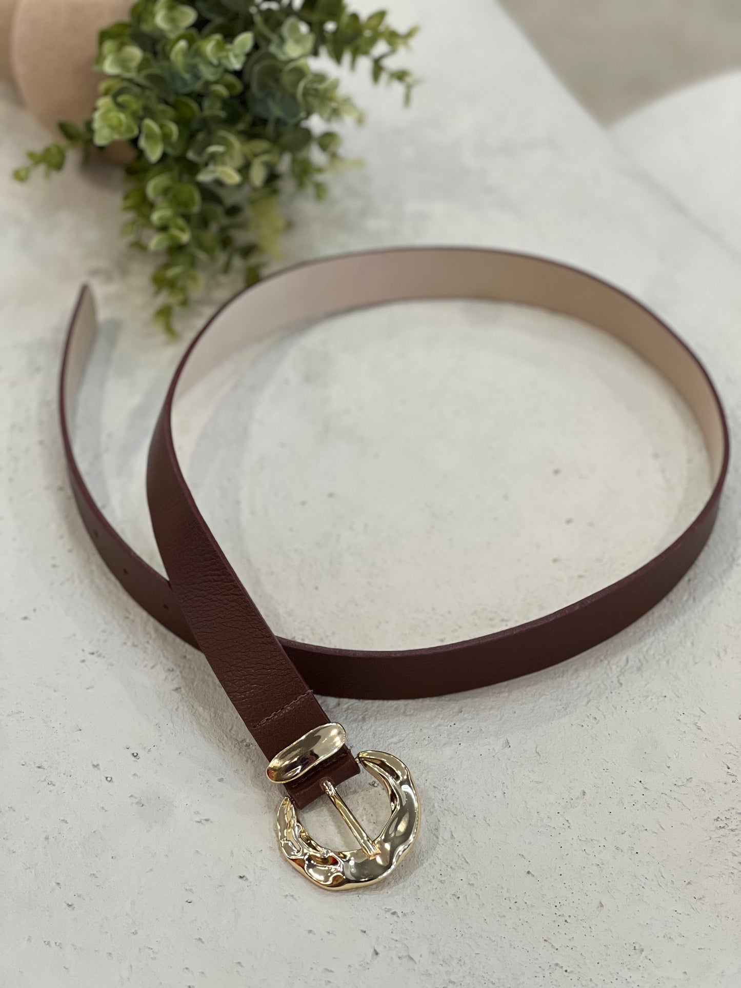 Bfb - Brown Belt with Gold Buckle