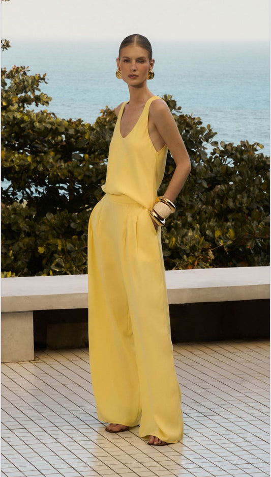 Anne Fernandes - Pleated Tank Top and Pants Set
