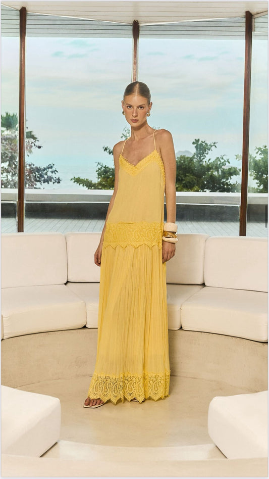 Anne Fernandes - Long Tarquinated Dress